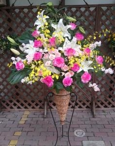 新年明けましておめでとうございます。｜「フラワーセンター宇和島」　（愛媛県宇和島市の花キューピット加盟店 花屋）のブログ