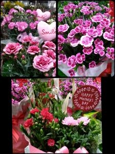 Mother's Day♪｜「フラワーセンター宇和島」　（愛媛県宇和島市の花キューピット加盟店 花屋）のブログ